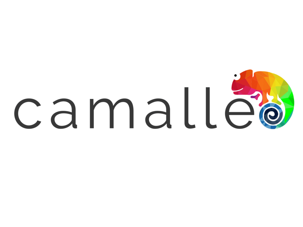 Logotipo Camalle - DISC Propósito MAIOR